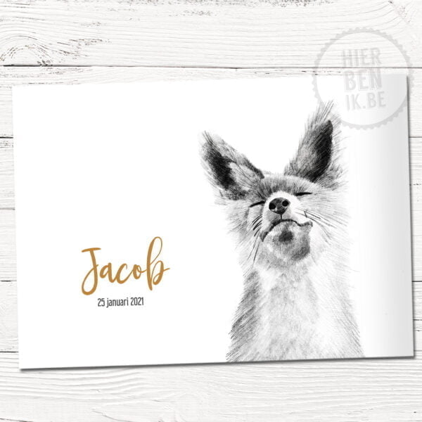 Geboortekaartje tekening vos 'Jacob'