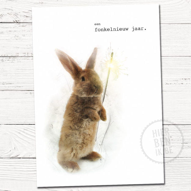 Leuke kerstkaarten | konijn | Indie | foto | tekenen | dieren | gezin | grafisch | design | xmas | cards