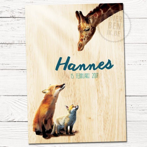 geboortekaartjes Hannes met giraf en vos op hout